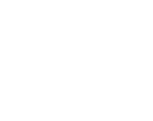 BigNews